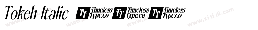 Tokeh Italic字体转换